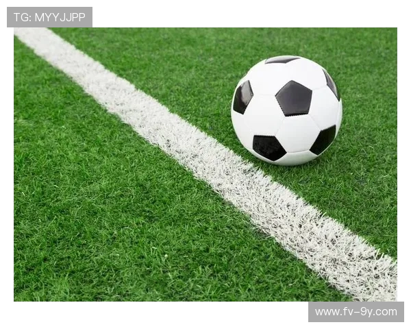 围绕大丰足球球友名单展现本地绿茵社群发展纪实故事全景图谱观察